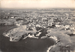 29-ILE D OUESSANT-VUE PANORAMIQUE-N°615-C/0237 - Otros & Sin Clasificación