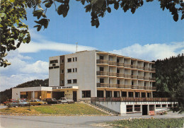 38-CHÂTEAU BERNARD-HOTEL DES DEUX SŒURS-N°616-D/0053 - Sonstige & Ohne Zuordnung