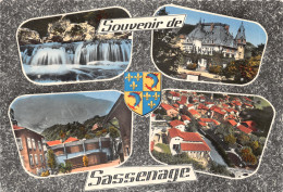 38-SASSENAGE-N°616-C/0379 - Sassenage