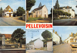 36-PELLEVOISIN-N°616-C/0029 - Autres & Non Classés