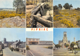 35-PIPRIAC-LA LANDE DE COJOU-N°616-B/0289 - Sonstige & Ohne Zuordnung