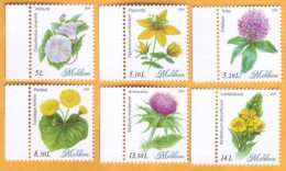 2024 Moldova  Wild Flowers, Flora, Nature 6v Mint - Moldavie