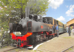 45-PITHIVIERS-MUSEE DES TRANSPORTS-LOCOMOTIVE -N°617-B/0343 - Pithiviers