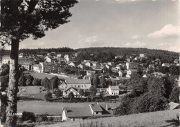 43-CHAMBON SUR LIGNON-VUE GENERALE-N°617-A/0293 - Autres & Non Classés