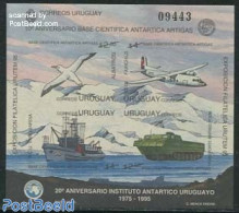 Uruguay 1995 Antarctica S/s Imperforated (no Postal Value), Mint NH, Nature - Science - Transport - Birds - The Arctic.. - Airplanes