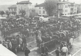 43-BRIOUDE-FOIRE DE LA SAINT CLEMENT-N°617-A/0239 - Brioude