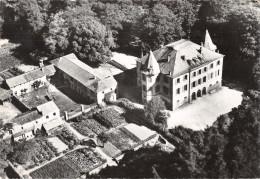 43-RAUCOULES-CHÂTEAU DE FIGON-N°617-A/0205 - Other & Unclassified