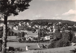 43-CHAMBON SUR LIGNON-VUE GENERALE-N°617-A/0215 - Autres & Non Classés