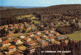 43-LE CHAMBON SUR LIGNON-COLLEGE CEVENOL-N°617-A/0187 - Le Chambon-sur-Lignon