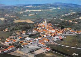 42-SAINT MARTIN LA SAUVETE-VUE AERIENNE-N°617-A/0131 - Autres & Non Classés