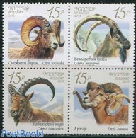 Russia 2013 Goats 4v [+], Mint NH, Nature - Animals (others & Mixed) - Other & Unclassified