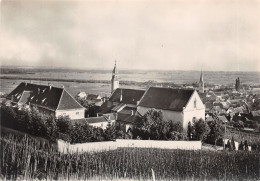 68-SIGOLSHEIM-VILLAGE MARTYR-DETRUIT-N°619-B/0159 - Autres & Non Classés