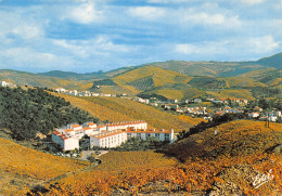 66-BANYULS SUR MER-N°619-B/0023 - Banyuls Sur Mer