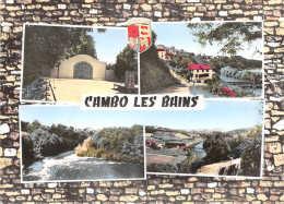 64-CAMBO LES BAINS-N°619-A/0061 - Cambo-les-Bains