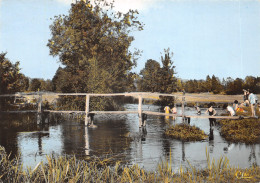 72-PONT DE BRAYE-N°619-C/0355 - Sonstige & Ohne Zuordnung