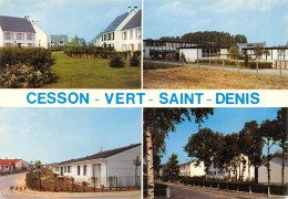 77-CESSON VERT SAINT DENIS-N°620-D/0135 - Cesson