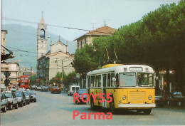 Emilia Romagna-parma Filobus 014 Della Tep Di Parma In Funzione Fino Al 1986 (v.retro) - Parma