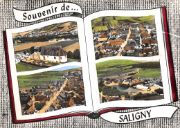89-SALIGNY-N°621-D/0341 - Other & Unclassified
