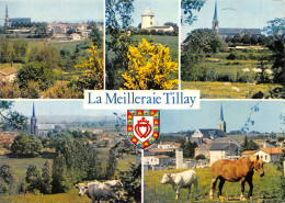 85-LA MEILLERAIE-TILLAY-N°621-C/0223 - Other & Unclassified