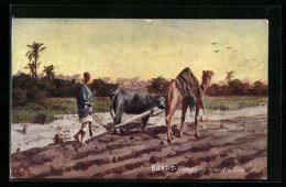 Künstler-AK Raphael Tuck & Sons Nr. 7750: Egypt, Ploughing Near The Nile  - Tuck, Raphael