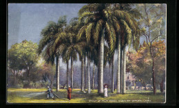 Künstler-AK Raphael Tuck & Sons Nr. 7202: Cairo, Esbekieh Garden, Group Of Palm Trees  - Tuck, Raphael