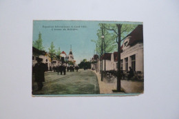 GAND  -  GENT  - Exposition Universelle 1913  -  L'avenue Du Belvédère   -  BELGIQUE - Gent