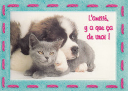 ANIMAUX LES CHATS ET LE CHIEN - Chats