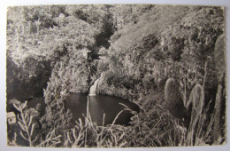 FRANCE - LA REUNION - SAINT-GILLES - Le Bassin De Cormoran - Autres & Non Classés