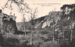 72-SILLE LE GUILLAUME LA FORET VALLEE DE ROCHEBRUNE-N°5179-A/0225 - Sille Le Guillaume