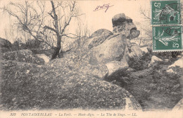 77-FONTAINEBLEAU LA FORET LA TETE DE SINGE-N°5179-E/0127 - Fontainebleau