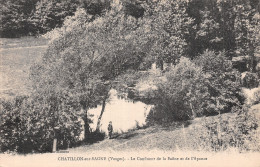 88-CHATILLON SUR SAONE-N°5179-D/0319 - Altri & Non Classificati