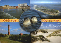 72413050 Norderney Nordseebad Strand Duenen Leuchtturm Robben Norderney - Norderney