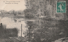 RUEIL MALMAISON - SAINT CUCUFA ETANG DE SAINT CUCUFA  ENSEMBLE DE L'ETANG  CPA  CIRCULEE - Rueil Malmaison