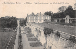 45-CHATILLON COLIGNY-N°5179-H/0333 - Chatillon Coligny