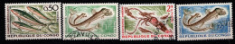 - CONGO - 1961 -YT N°142 / 147A - Oblitérés - Poissons - Série Incomplète - Usati