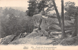 77-FONTAINEBLEAU LA FORET GRAND POINT DE VUE DU MONT AIGU-N°5180-F/0291 - Fontainebleau