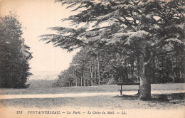 77-FONTAINEBLEAU LA FORET LE CEDRE DU MAIL-N°5180-H/0053 - Fontainebleau