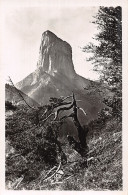 38-LE MONT AIGUILLE-N°5181-D/0147 - Sonstige & Ohne Zuordnung