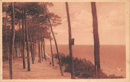 33-ARCACHON-N°5181-G/0123 - Arcachon