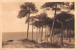 33-LE MOULLEAU ARCACHON-N°5181-G/0121 - Other & Unclassified
