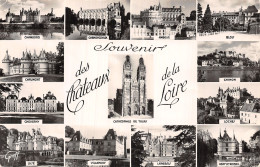 37-CHATEAU DE LA LOIRE-N°5181-F/0015 - Andere & Zonder Classificatie