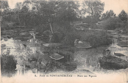 77-FONTAINEBLEAU LA FORET-N°5181-E/0329 - Fontainebleau