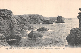 56-BELLE ILE EN MER POINTE DES POULINS-N°5181-E/0333 - Belle Ile En Mer