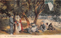 13-PROVENCE FOLKLORE CUEILLETTE DES OLIVES-N°5181-E/0199 - Autres & Non Classés