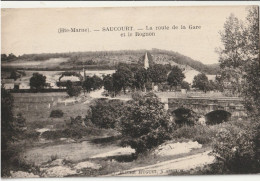 SAUCOURT  La Route De La Gare Et Le Rognon - Autres & Non Classés