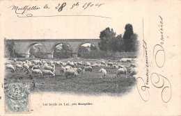 34-LES BORDS DU LEZ-N°5182-H/0309 - Autres & Non Classés