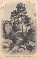 77-FONTAINEBLEAU LA FORET-N°5182-H/0065 - Fontainebleau