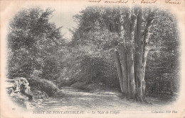 77-FONTAINEBLEAU LA FORET LE NID DE L AIGLE-N°5182-H/0043 - Fontainebleau