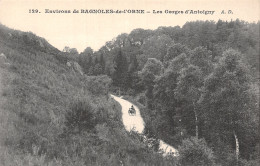 61-LES GORGES D ANTOIGNY-N°5182-G/0089 - Other & Unclassified