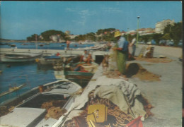 Bandol - Les Laboureurs De La Mer Sur Le Plancher Des Vaches !  - (P) - Bandol